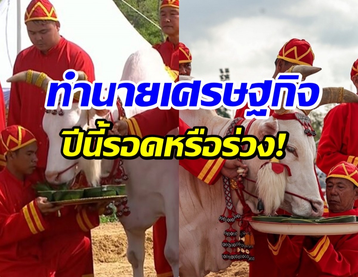 เปิดคำทำนายวันพืชมงคล 2569 ปีนี้พระโคกินอะไร