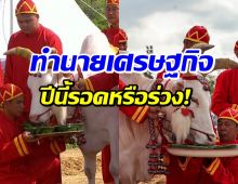 เปิดคำทำนายวันพืชมงคล 2569 ปีนี้พระโคกินอะไร