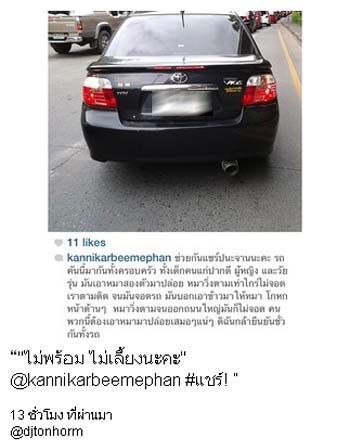 ดาราแห่แชร์ประณามเก๋งวีออส นำสุนัข 2 ตัวปล่อยทิ้งข้างถนน