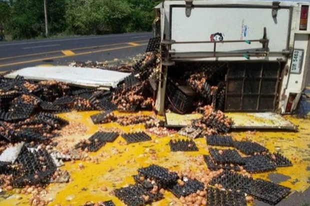 งานนี้เละ!!! รถบรรทุกไข่ไก่พลิกคว่ำ เทกระจาดกระจายเต็มถนน!!