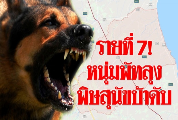 ชายวัย 39 ชาวพัทลุง ตายจากพิษสุนัขบ้า เป็นรายที่ 7 ของประเทศ