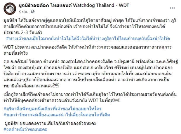 จำกันได้ไหม? ‘ภูริดา’ พิทบูลจากข่าวดัง ล่าสุดตายแล้ว