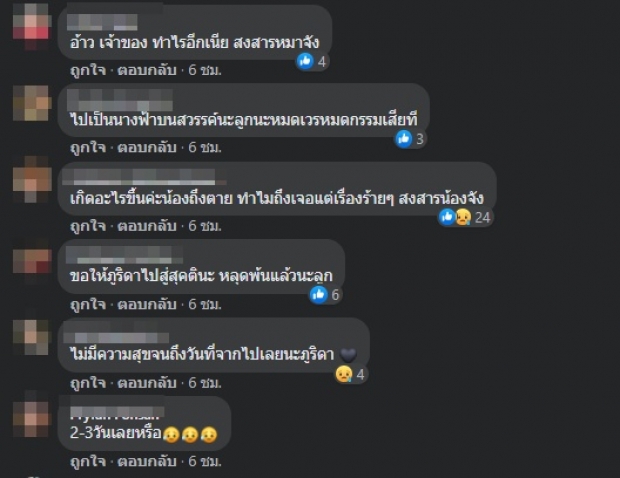 จำกันได้ไหม? ‘ภูริดา’ พิทบูลจากข่าวดัง ล่าสุดตายแล้ว