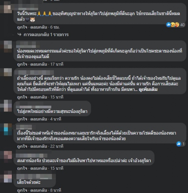 จำกันได้ไหม? ‘ภูริดา’ พิทบูลจากข่าวดัง ล่าสุดตายแล้ว