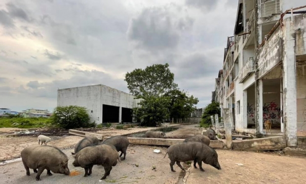 กระจกเงา เผยคดีสาวบ้านร้าง ตร.ให้ข้อมูลสำคัญ ไม่ตรงกับแพทย์