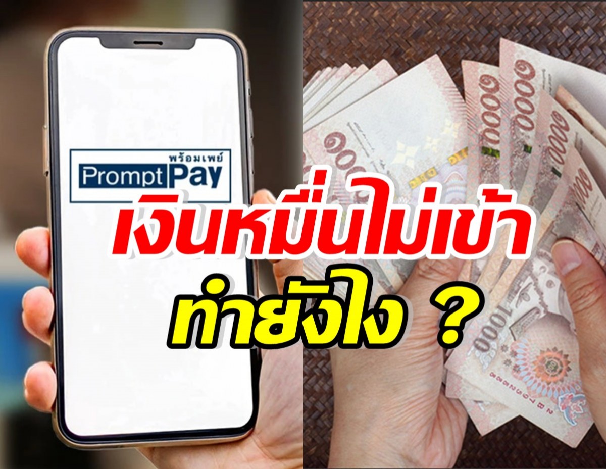 เช็กเลย!! วิธีแก้ไข หากเงิน 10,000 บาทไม่เข้าบัญชี ทำยังไง