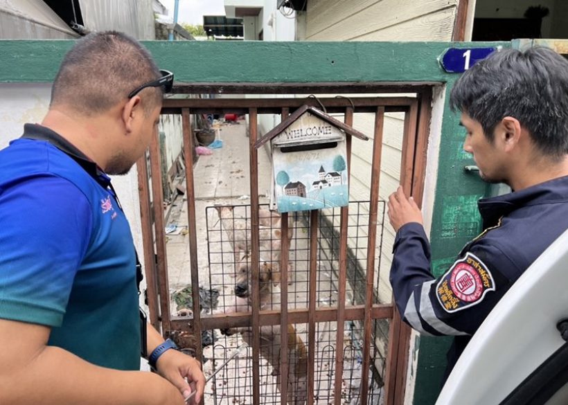 สลดอดีตนักแสดงเสียชีวิตในบ้านพัก สุนัขเฝ้าร่างไม่ห่าง