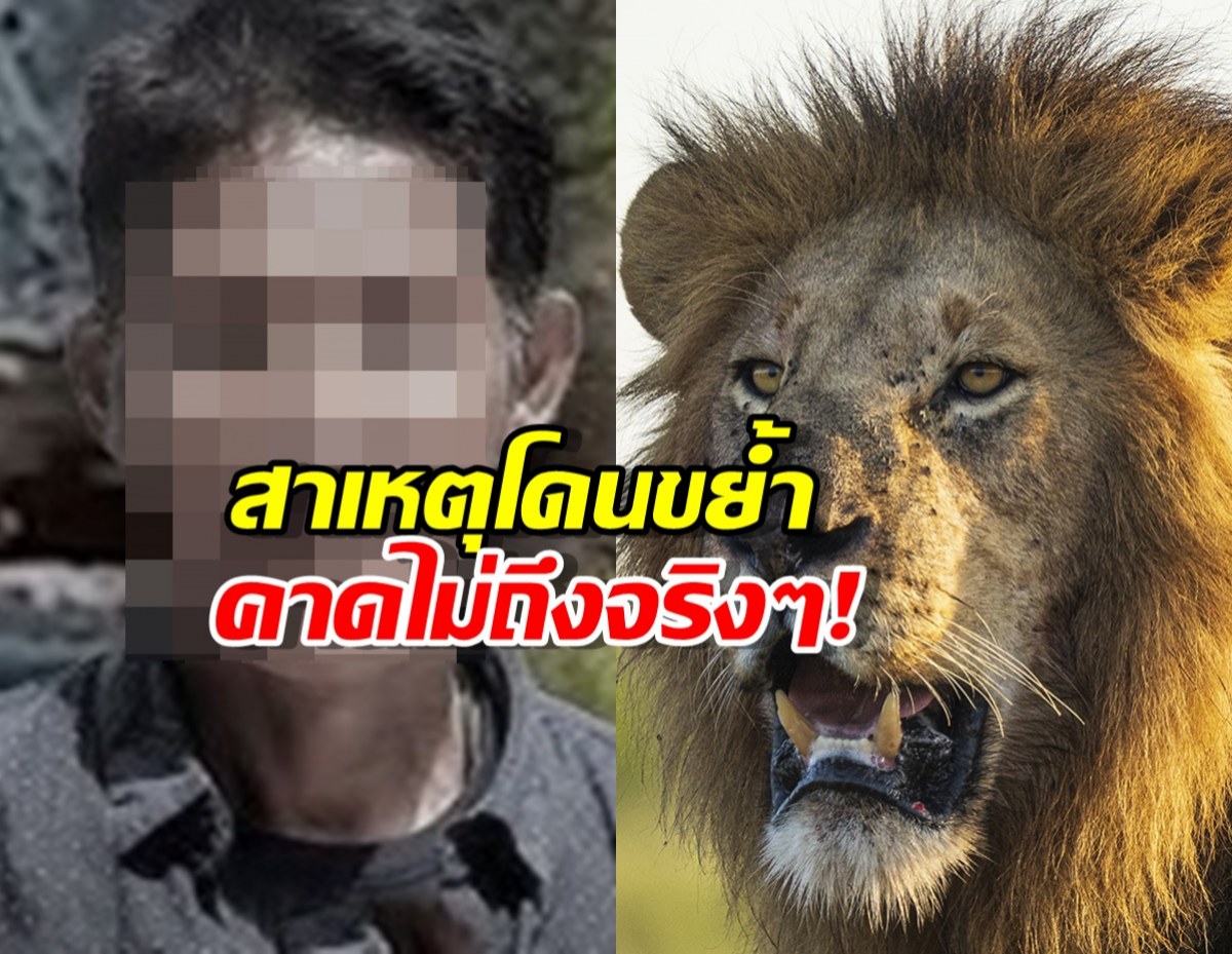 รู้แล้ว ทำไมเจ้าหน้าที่ผู้เชี่ยวชาญกว่า 30 ปี ถึงถูกสิงโตรุมขย้ำ!