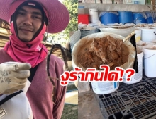 โรงงานปลาร้าดัง โร่ขอโทษ ยันกินได้ เป็นงูไม่มีพิษ แค่จะรู้สึกแปลกๆ