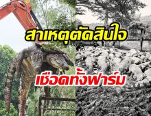  ฟาร์มดัง เผยสาเหตุ ยอมตัดสินใจเชือดจระเข้ยกบ่อ ที่อยู่กันมา17ปี