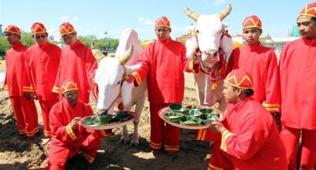 พระราชพิธีพืชมงคลจรดพระนังคัลแรกนาขวัญ ณ มณฑลพิธีสนามหลวง 