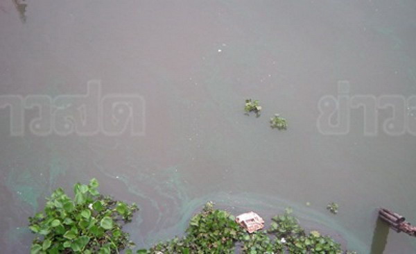 ผวา!!แม่น้ำปราจีนฯ เปลี่ยนสี หวั่นเกิดสารพิษ-ปลาตาย