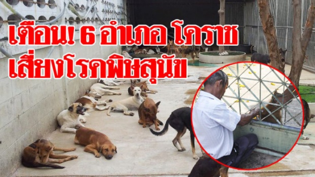 โรคพิษสุนัขบ้าระบาด 6 อำเภอ จ.โคราช จนท.สาธารณสุข เร่งฉีดวัคซีนป้องกันทุกชุมชน