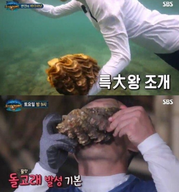  “Law of the Jungle” แอบถ่ายทำนอกพื้นที่ในไทยตามที่ตกลงไว้ ในวันที่จับ ‘หอยมือเสือ’