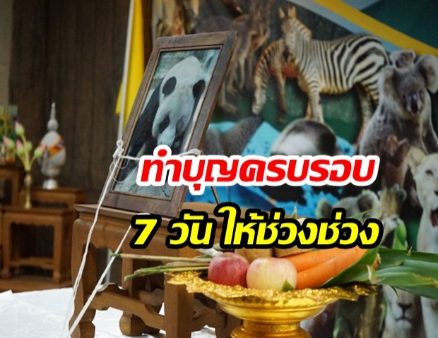 สวนสัตว์เชียงใหม่ ทำบุญอุทิศส่วนกุศลช่วงช่วงตายครบ 7 วัน