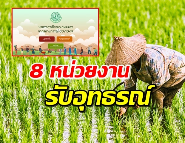 เช็กเลย! 8 หน่วยงานรับอุทธรณ์ เยียวยาเกษตรกร