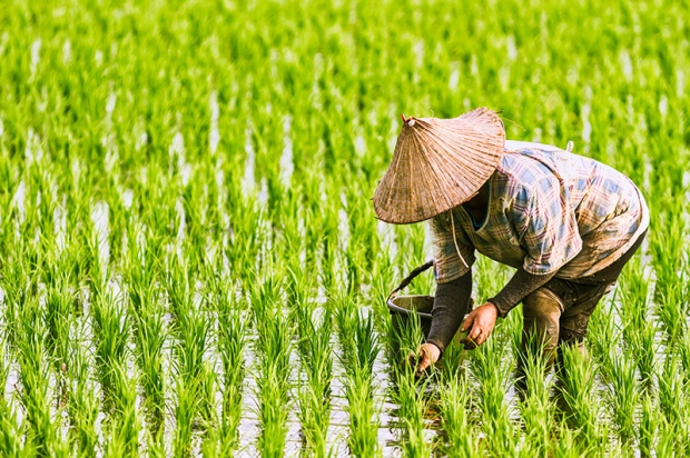 เช็กเลย! 8 หน่วยงานรับอุทธรณ์ เยียวยาเกษตรกร