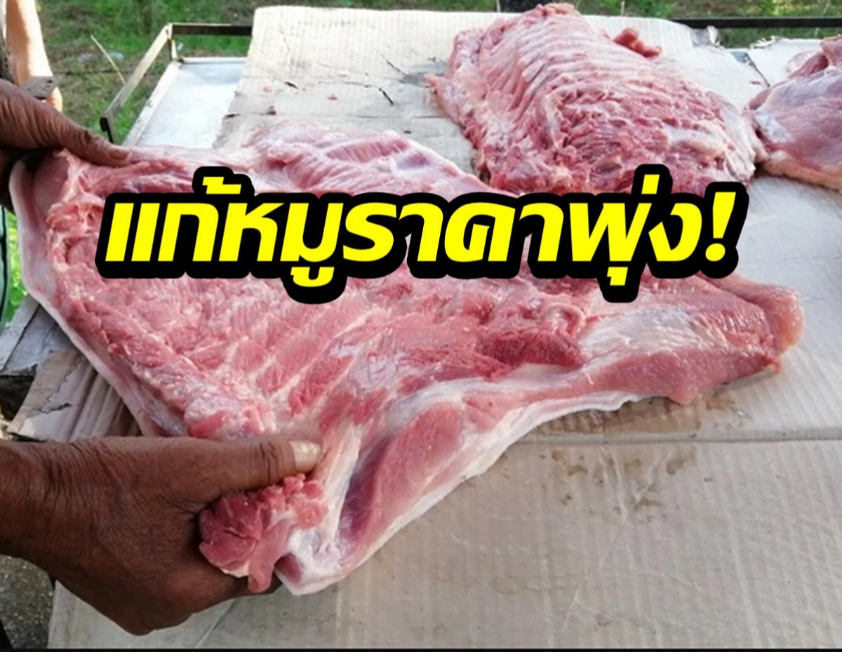 แก้หมูราคาพุ่ง สั่งห้ามส่งออก 3 เดือน-ไล่เช็กสต๊อกตั้งแต่ต้นทาง