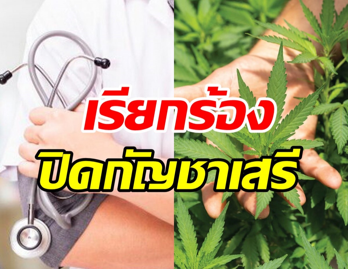 แพทย์851คน แสดงจุดยืนเรียกร้องรัฐบาลปิดกัญชาเสรี 