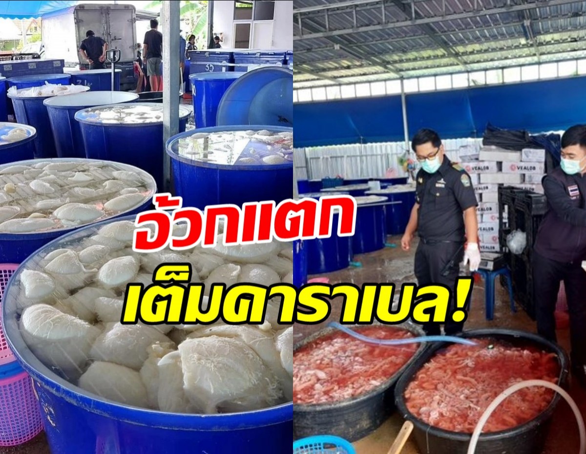 ช็อคสายตี้! เนื้อสัตว์เครื่องใน แช่ฟอร์มาลิน ส่งร้านหมูกระทะ