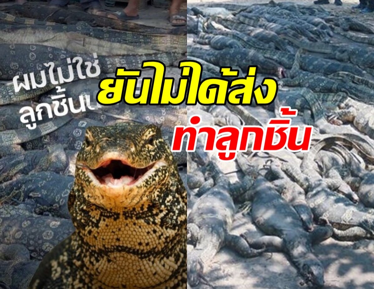 โล่งอกไปที! ตร.ยันรง.ชำแหละซากตัวเอี้ย ไม่ได้ส่งทำลูกชิ้น