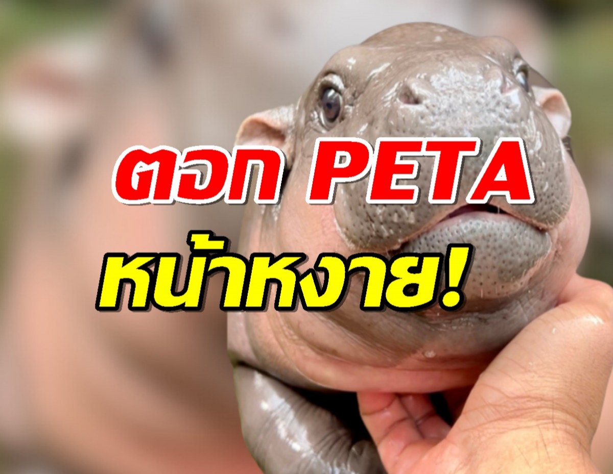 TSPCA ตอก PETA หน้าหงาย ขาดข้อมูลรอบด้านเรื่องหมูเด้ง