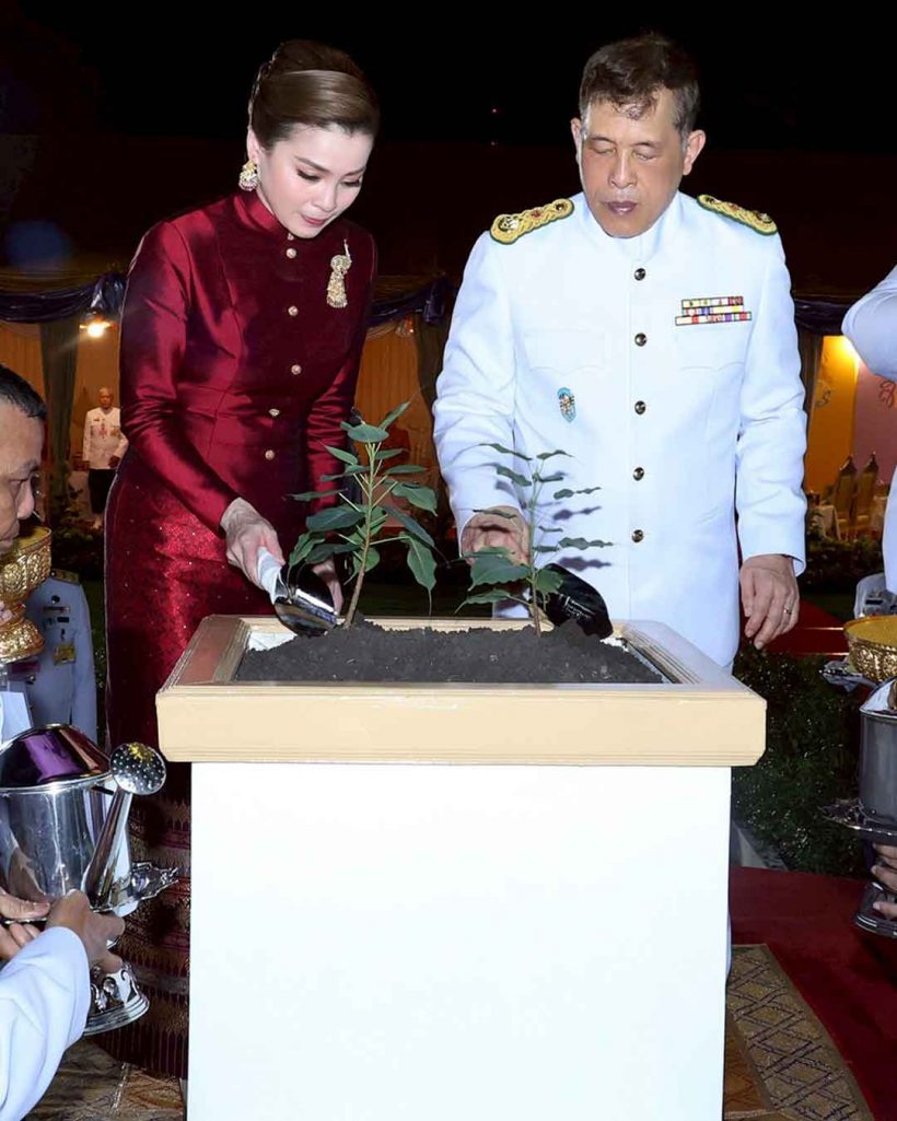 ในหลวง-พระราชินี เสด็จฯ ทรงปลูกต้นพระศรีมหาโพธิยาลงกรณ์