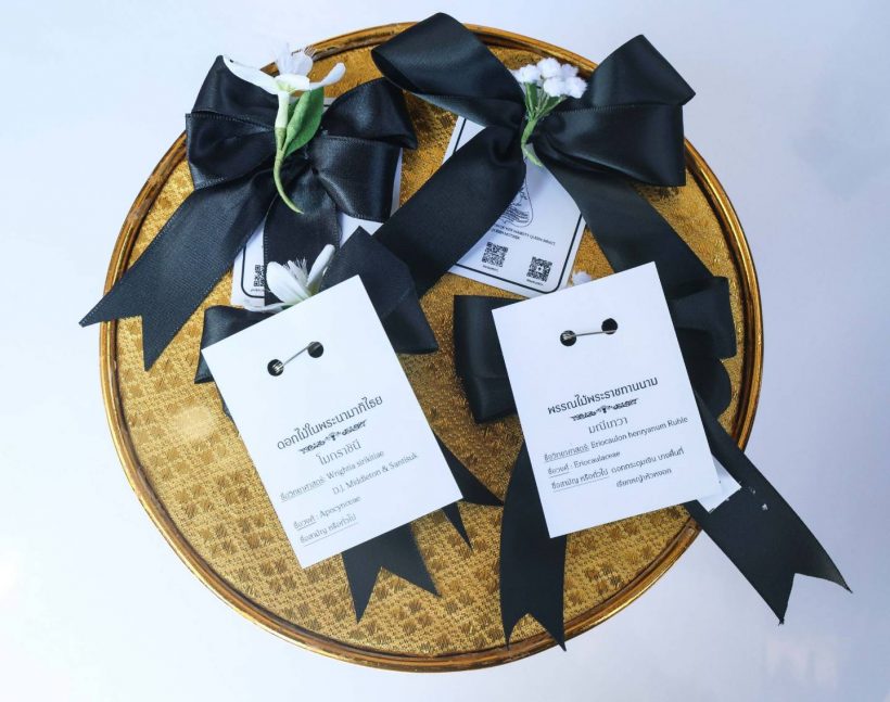 เจ้าฟ้าสิริวัณณวรีฯ พระราชทานโบว์ดำแก่พสกนิกรถวายความอาลัยพระพันปีหลวง