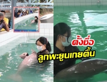 ชวนประกวด ตั้งชื่อ “ลูกพะยูนน้อยตัวใหม่” วัย 3 เดือน เกยตื้นที่กระบี่