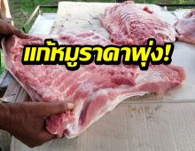 แก้หมูราคาพุ่ง สั่งห้ามส่งออก 3 เดือน-ไล่เช็กสต๊อกตั้งแต่ต้นทาง