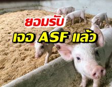 เปิดพิกัด ปศุสัตว์พบ ASF จากโรงฆ่าสัตว์ ประกาศเป็นเขตโรคระบาด