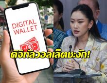 ดิจิทัลวอลเล็ตชะงัก ไม่เข้าครม. อิ๊งค์ เผยต้องดูสถานการณ์เศรษฐกิจโลก