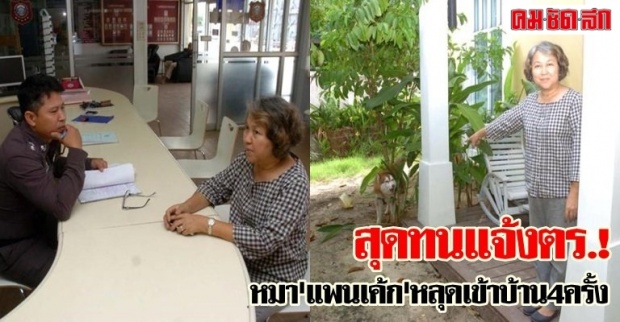 สุดทนแจ้งตร.!หมาแพนเค้กหลุดเข้าบ้าน4ครั้ง