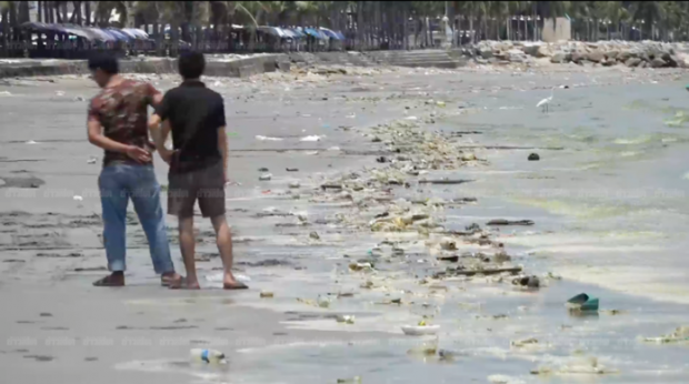 หาดบางแสนเกิด ‘แพลงก์ตอนบลูม’ น้ำทะเลเปลี่ยนเป็นสีเขียว เศษขยะลอยเกลื่อน!!