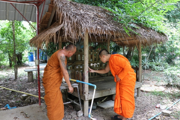 ผงะ! พระวัย 33 ปี ถูกมดตะนอยกัดช็อกหมดสติ 