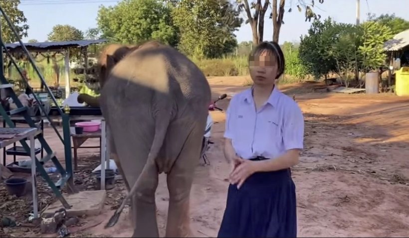 เพื่อนเผยคำพูดน้องฟิล์มก่อนวิ่งหนีครู ถือจานผัดไทยไปด้วย