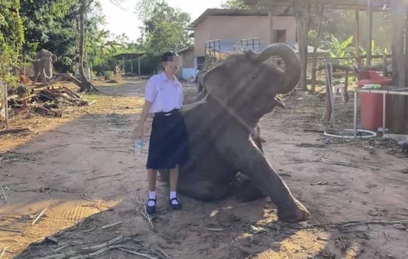 เพื่อนเผยคำพูดน้องฟิล์มก่อนวิ่งหนีครู ถือจานผัดไทยไปด้วย