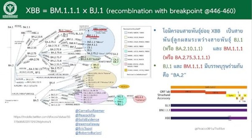 ยืนยันแล้ว! พบผู้ติดเชื้อโควิด สายพันธุ์ XBB ในไทย 2 ราย