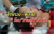 ระทึก! ไกรทองพลาด! จระเข้งับหัวนักแสดงขณะโชว์ แผลเหวอะ! (คลิป)