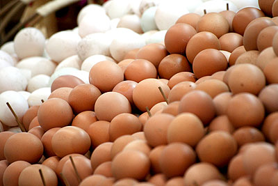 ผลงานมาร์คเปิดนำเข้าแม่พันธุ์ไก่เสรี ทำไข่ล้นตลาดวันละ 3 ล้านฟอง 