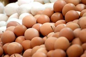 ณัฐวุฒิแจงไข่แพง แค่ราคาสูงหน้าฟาร์ม