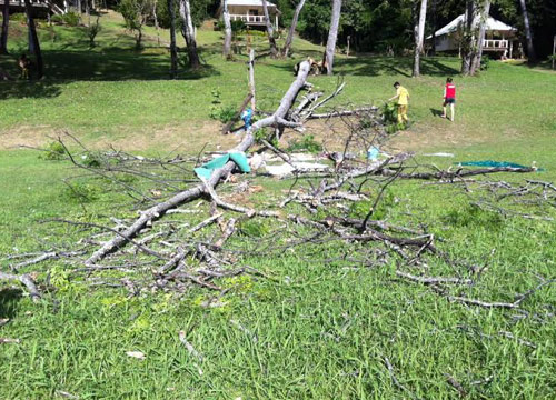 ต้นไม้ล้มทับนักท่องเที่ยวอุทยานคลองวังเจ้าดับ1เจ็บ3