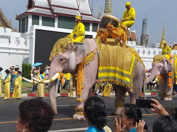 ริ้วขบวนคชสารคู่แผ่นดิน จากจังหวัดพระนครศรีอยุธยา ร่วมเฉลิมพระเกียรติฯ