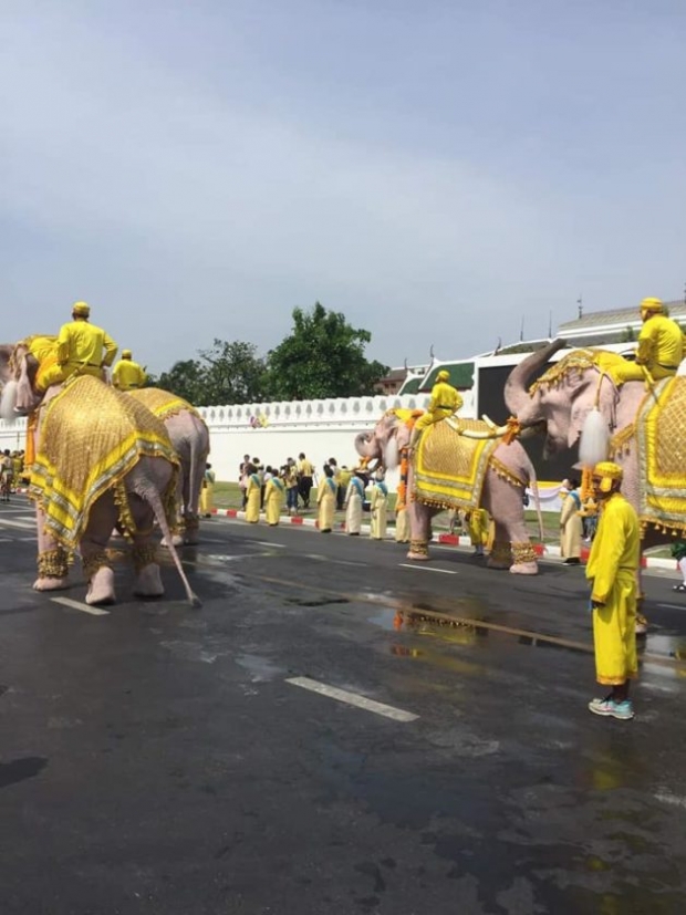 ริ้วขบวนคชสารคู่แผ่นดิน จากจังหวัดพระนครศรีอยุธยา ร่วมเฉลิมพระเกียรติฯ