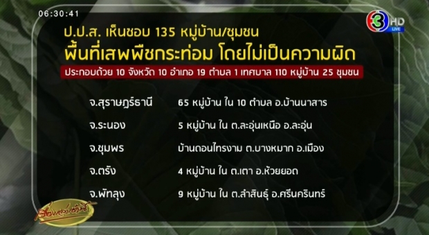 ป.ป.ส.ไฟเขียว 135 หมู่บ้าน 10 จังหวัด เสพพืชกระท่อมได้ไม่ผิดกม.