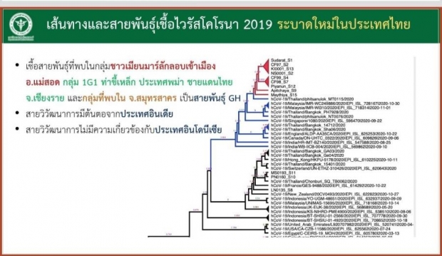 ถอดรหัสสายพันธุ์ โควิดสมุทรสาคร แท้จริงแล้วมาจากไหน?