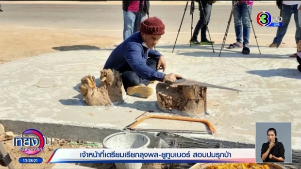 ยูทูบเบอร์แก๊งโค่นต้นไม้ โบกมือทิ้ง ลุงพล หลังเจอเอี่ยวรุกป่าไปด้วย!