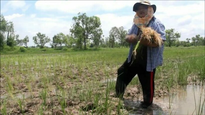  ปิดตำนานเสี่ยปาน30ล้านเสียชีวิตแล้ว หลังป่วยมาเกือบปี