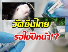 วัคซีนโควิด-19ของไทย ผ่านในหนูแล้ว เตรียมทดลองกับลิงต่อ