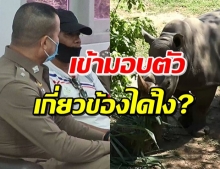 มือขโมย นอแรด สวนสัตว์สงขลา โร่มอบตัว-ปฏิเสธข้อหา